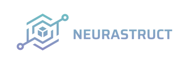 NeuraStruct